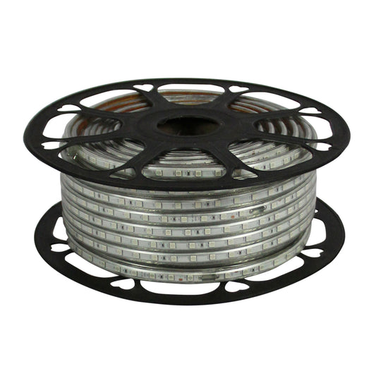 Manguera LED 5050 50mts